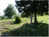 Bohinjsko sedlo - Slatnik (southeastern peak)