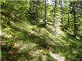 Remšendol - Rifugio Cinque Punte