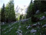 Planina Blato - Vršaki (Srednji vrh)