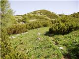 Planina Blato - Ogradi