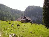 Planina Blato - Koča na Planini pri Jezeru