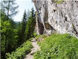 Rudno polje - Planina pod Mišelj vrhom