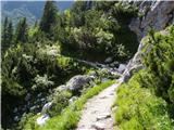 Rudno polje - Planina pod Mišelj vrhom