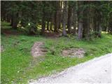 Rudno polje - Planina pod Mišelj vrhom