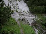 Erjavčev rovt - Planina Dovška Rožca