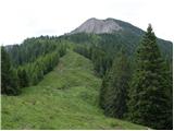 Erjavčev rovt - Planina Dovška Rožca