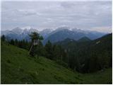 Erjavčev rovt - Planina Dovška Rožca