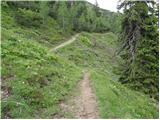 Erjavčev rovt - Planina Dovška Rožca