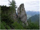 Erjavčev rovt - Planina Dovška Rožca