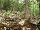 Koča pod slapom Rinka - Kranjska Rinka