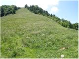 Planina pod Golico - Kahlkogel/Golica