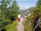 Dösner Alm - Säuleck