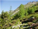 Dösner Alm - Arthur Von Schmid Haus