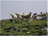 Planina Jezerca - Kalški greben