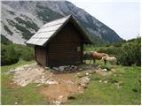 Kokra (Podlebelca) - Planina Dolga njiva (Krvavec)