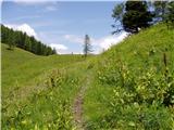 Ravenska Kočna - Jenkova planina