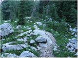 Konec ceste na Vogar - Planina Lopučnica