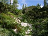 Planina Blato - Koča pri Triglavskih jezerih