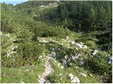 Planina Blato - Veliko Špičje