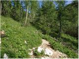 Planina Blato - Veliko Špičje