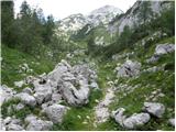 Planina Blato - Koča na Doliču