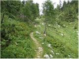 Planina Blato - Vrh nad Vodeno Rupo