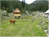 Planina Blato - Velika Zelnarica