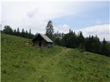 Plesnikova planina