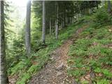 Hotel Plesnik - Plesnikova planina