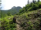 Hotel Plesnik - Plesnikova planina