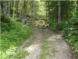 Hotel Plesnik - Icmanikova planina