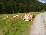 Etrachsee - Unterer Wildenkarsee