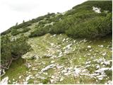 Medvedova konta - Debeli vrh above Lipanca