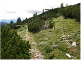 Medvedova konta - Debeli vrh above Lipanca