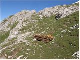 Lienzer Dolomitenhütte - Daumen