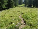 Lienzer Dolomitenhütte - Weißstein Alm