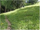 Lienzer Dolomitenhütte - Weißstein Alm