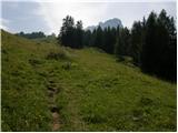 Lienzer Dolomitenhütte - Weißstein Alm