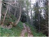 Sella Nevea - Viš/Jof Fuart