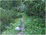 Ljubelj - Klagenfurter Hutte/Celovška koča