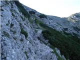 planina_kuk - Vrh Krnic