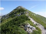 Tolminske Ravne - Vogel