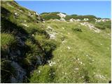 Planina Blato - Vrh nad Vodeno Rupo