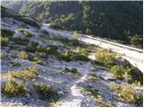 Planina Zajzera - Bivak Bernardinis