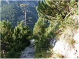 Planina Zajzera - Visoki Pipar / Monte Piper