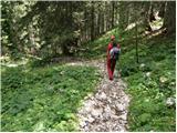 Stara Fužina - Ogradi