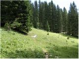 Planina Blato - Ogradi