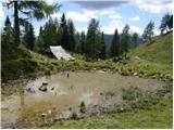 Planina Blato - Vrh Hribaric