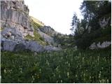 Pod Zjabci - Travnik