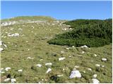 Olipova planina - Vajnež